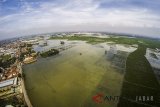 Foto udara sawah yang terendam banjir di Desa Tegalluar, Kabupaten Bandung, Jawa Barat, Kamis (1/3). Dinas Pertanian Jawa Barat mencatat sawah yang terendam mencapai 3.071 hektare dengan ketinggian air 15 cm hingga 150 cm akibat banjir yang melanda Kabupaten Bandung sejak Jumat (23/2). ANTARA JABAR/Raisan Al Farisi/agr/18.