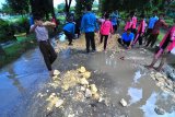 Siswa SDN Kowel 3 bersama guru memperbaiki jalan yang rusak di Kelurahan Kowel, Pamekasan, Jawa Timur, Sabtu (10/3). Jalan yang menjadi akses utama itu rusak parah sejak beberapa tahun lalu dan menghambat aktivitas warga setempat. Antara Jatim/Saiful Bahri/zk/18