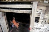 Warga beraktivitas di rumah tidak layak huni di Desa Pabuaran, Suka Makmur, Kabupaten Bogor, Jawa Barat, Rabu (14/3). Sebanyak 127.163 unit Rumah Tidak Layak Huni (Rutilahu) berhasil dibenahi di Jawa Barat sejak tahun 2013 hingga 2017, sementara Pemerintah Provinsi Jawa Barat menargetkan pebaikan Rutilahu sebanyak 20.000 unit pada tahun 2018. ANTARA JABAR/Yulius Satria Wijaya/agr/18.