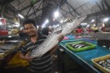 Seorang penjual menunjukkan ikan barakuda seberat 10 kilogramdi pasar ikan Pabean, Surabaya, Jawa Timur, Rabu (28/3). Menurut data dari Kementerian Kelautan dan Perikanan (KKP), angka potensi sumber daya ikan di Indonesia terus meningkat setiap tahunnya semenjak 2014, bahkan pada tahun 2017 kenaikan bisa mencapai 12,54 juta ton per tahun. Antara Jatim/M Risyal Hidayat/zk/18