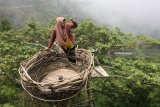 Pengunjung berfoto di atas pohon yang dibentuk menyerupai perahu dengan tarif masuk Rp2.000 per orang di area Jembatan Jomblo, Desa Besuki, Kediri, Jawa Timur, Rabu (21/3). Masyarakat di sekitar lereng gunung Wilis secara swadaya membangun sejumlah tempat wisata swafoto yang menjadi populer di media sosial. Antara Jatim/Prasetia Fauzani/zk/18