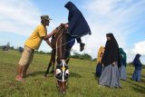 Santriwati bercadar dari Internasional Leader School (ILS) bersiap berlatih ekstrakurikuler olahraga berkuda di Gunung Kialir, Cibeurem, Kota Tasikmalaya, Jawa Barat, Rabu (28/2). Sebagai sekolah berbasis Islam, Pesantren ILS mengenalkan edukasi kepada santri dan santriwati kegiatan olahraga berkuda sebagai bentuk ajaran para Rasulullah pada zamannya. ANTARA FOTO