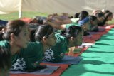 Sejumlah peserta mengikuti International Bali Yoga Festival 2018 di Lapangan Renon, Denpasar, Bali, Sabtu (10/3). Festival Yoga yang diharapkan dapat memasyarakatkan olahraga yoga tersebut digelar selama tiga hari dan diikuti peserta dari berbagai daerah di Indonesia dan mancanegara. ANTARA FOTO/Fikri Yusuf/wdy/2018.