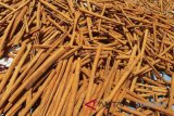 W Sumatra Cinnamon Price Continues To Increase
