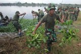 Sejumlah personel TNI Angkatan Laut membersihkan bozem Morokrembangan dari enceng gondok, di kawasan kesatrian Bumimoro, Surabaya, Jawa Timur, Jumat (20/4). Kegiatan dalam rangka Hari Pendidikan TNI Angkatan Laut (Hardikal) ke-72 Tahun yang digelar Komando Pembinaan Doktrin Pendidikan dan Latihan Angkatan Laut (Kodiklatal) itu diikuti sekitar 2.800 peserta dari personil TNI AL, Akademi Angkatan Laut (AAL), Sekolah Tinggi Teknologi Angkatan Laut (STTAL), serta warga sekitar. Antara Jatim/Didik Suhartono/zk/18