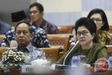 Menteri Kesehatan Nila F Moeloek (kanan) bersama Menristekdikti Mohamad Nasir (kiri) mengikuti rapat kerja dengan Komisi IX di Kompleks Parlemen, Senayan, Jakarta, Kamis (5/4/2018). Rapat kerja tersebut beragendakan penyerahan daftar inventarisasi masalah (DIM) Rancangan Undang-Undang tentang kebidanan dari pemerintah kepada DPR. (ANTARA /Hafidz Mubarak A) 