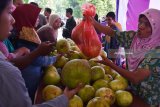 Pengunjung memilih buah pamelo (jeruk besar) saat digelar Festival Kampoeng Pamelo di Magetan, Jawa Timur, Minggu (29/4). Festival Kampoeng Pamelo dimaksudkan untuk memotivasi petani agar lebih giat lagi menanam pamelo guna mengembalikan kejayaan daerah tersebut sebagai sentra pamelo. Antara Jatim/Foto/Siswowidodo/zk/18