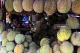 Pengunjung memilih buah durian dalam festival bertajuk Mendem Duren atau Mabuk Durian di depan Balaikota Malang, Jawa Timur, Jumat (13/4). Festival yang diadakan sebagai upaya mengenalkan cita rasa buah durian lokal  tersebut melibatkan sekitar 60 petani durian dan berlangsung selama tiga hari. Antara Jatim/Ari Bowo Sucipto/zk/18.