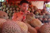 Pengunjung memilih buah durian dalam festival bertajuk Mendem Duren atau Mabuk Durian di depan Balaikota Malang, Jawa Timur, Jumat (13/4). Festival yang diadakan sebagai upaya mengenalkan cita rasa buah durian lokal  tersebut melibatkan sekitar 60 petani durian dan berlangsung selama tiga hari. Antara Jatim/Ari Bowo Sucipto/zk/18.