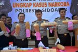 Petugas kepolisian memperlihatkan barang bukti narkoba jenis Ganja saat gelar ungkap kasus narkoba di Polresta Sidoarjo, Jawa Timur, Minggu (1/4). Satuan Reserse Narkoba Polresta Sidoarjo berhasil menggagalkan upaya penyelundupan narkoba jenis Ganja dengan berat total 8,5 kilogram yang dibungkus sebanyak 10 buah dari seorang tersangka. Antara Jatim/Umarul Faruq/zk/18