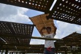 Pekerja menjemur kerupuk di pabrik Mulyasari, Dusun Majalaya, Kabupaten Ciamis, Jawa Barat, Rabu (11/4). Sejumlah pelaku industri kerupuk mengurangi jumlah produksi, dari sebelumnya satu ton menjadi delapan kuintal per hari, akibat harga bahan baku tepung naik dari Rp 7.000 menjadi Rp 10.000 per kilogram. ANTARA JABAR/Adeng Bustomi/agr/18  