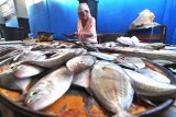 Pedagang menunggui ikan dagangannya di Pasar 17 Agustus  Pamekasan, Jawa Timur,  Senin (16/4). Harga berbagai jenis ikan laut turun sekitar 35 persen dari sebelumnya menyusul melimpahnya tangkapan nelayan. Antara Jatim/Saiful Bahri/zk/18