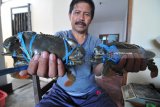 Pedagang menunjukkan kepiting di Desa Polagan, Pamekasan, Jawa Timur,  Jumat (13/4). Dalam dua hari terakhir harga kepeting super turun dari Rp200 ribu-Rp160 ribu per kg dan kepeting besar Rp125 ribu menjadi Rp80.000 per kg karena melimpahnya stok ditingkat nelayan. Antara Jatim/Saiful Bahri/zk/18