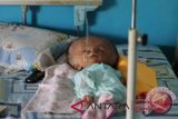 Operasi bayi hidrosefalus Mamuju ditunda karena asma