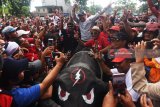 Calon Gubernur Jawa Timur Saifullah Yusuf (tengah) menunggangi boneka banteng saat  jalan sehat PDI Perjuangan (PDIP) di Surabaya, Jawa Timur, Minggu (8/4). Jalan sehat tersebut digelar dalam rangka peringatan HUT ke-45 PDIP.  Antara Jatim/Zabur Karuru/18