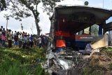 Sejumlah orang melihat Bus Eka jurusan Surabaya-Yogyakarta yang tercebur di sawah setelah bertabrakan dengan Bus Mira di jalan raya Ngawi-Yogyakarta di Desa Kawu, Kedunggalar, Ngawi, Jawa Timur, Selasa (17/4). Tiga buah bus dan sebuah mobil, masing-masing bus Mira, Eka, Sumber Selamat dan mobil Toyota Innova terlibat kecelakaan beruntun di lokasi tersebut mengakibatkan belasan orang luka berat dan ringan. Antara Jatim/Foto/Siswowidodo/zk/18