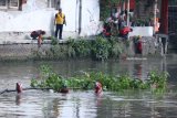 etugas dari Dinas Kebersihan Dan Ruang Terbuka Hijau (DKRTH) dan poliso membersihkan sampah di Sungai Kalimas di Jembatan Merah, Surabaya, Jawa Timur, Jumat (27/4). Kegiatan bersih-bersih yang dilakukan oleh anggota polisi Polrestabes Surabaya, TNI AD dan Pemkot Surabaya di kawasan itu untuk menyambut HUT ke-73 Bhayangkara. Antara Jatim/Didik Suhartono/zk/18