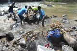 Relawan memungut sampah di aliran sungai Ciliwung, jembatan Jalak Harupat, Lebak Kantin, Kelurahan Sempur, Kota Bogor, Jawa Barat, Sabtu (14/4). Kegiatan yang diselenggarakan Komunitas Peduli Ciliwung (KPC), Bogor tersebut bertujuan untuk memberikan kesadaran dan kepedulian masyarakat untuk tidak membuang sampah di sungai serta menjaga kelestarian alam sungai Ciliwung sehingga tidak menyebabkan banjir disaat musim hujan. ANTARA JABAR/Arif Firmansyah/agr/18