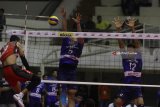 Atlet bola voli Palembang Bank Sumsel Babel, Sigit Ardian (kiri) melakukan smes yang berusaha ditahan atlet voli Jakarta Pertamina Energ, Hernanda Zulfi (kanan) dan Dio Zulikri (tengah) dalam pertandingan Final Four Proliga Putaran Pertama di GOR Ken Arok, Malang, Jawa Timur, Minggu (1/4).Palembang Bank Sumsel Babel mengalahkan Jakarta Pertamina Energi dengan skor 3-2 (21-25, 24-26, 25-18, 25-17, 20-18). Antara Jatim/Ari Bowo Sucipto/zk/18.