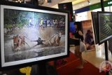 Pengunjung mengamati karya foto dalam pameran fotografi 'Astonishing Indonesia' di Paragon Mal, Semarang, Jawa Tengah, Jumat (13/4/2018). Pameran yang menampilkan 250 foto tentang keindahan alam dan budaya Indonesia tersebut digelar hingga 19 April 2018 dan diharapkan dapat berkontribusi terhadap promosi pariwisata nasional. (ANTARA FOTO/Aditya Pradana Putra) 