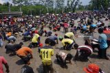 Warga berebut menangkap ikan (gogo iwak) yang dilepas di sebuah pematang sawah di Tulungagung, Jawa Timur, Minggu (1/4). Permainan tradisional gogo iwak itu digelar dalam rangkaian calon bupati/wakil bupati petahana dengan cara melepas lima ton ikan budidaya untuk diperebutkan bersama masyarakat. Antara Jatim/Destyan Sujarwoko/zk/18