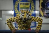 Penonton menggunakan kostum harimau saat laga lanjutan Go-jek Liga 1 antara Persib Bandung melawan Borneo FC di Stadion Gelora Bandung Lautan Api (GBLA), Bandung, Jawa Barat, Sabtu (21/4). Dalam laga tersebut, Persib Bandung berhasil mengalahkan Borneo FC dengan Skor 3-1. ANTARA JABAR/Raisan Al Farisi/agr/18