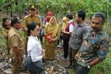 14 titik sebaran fokus keong schisto di TNLL