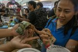 Pengunjung melihat Kelomang yang dipamerkan di Pet Festival BDG di Mall Festival Citylink Bandung, Jawa Barat, Minggu (22/4). Pet Festival BDG merupakan acara kumpul para pemelihara dan pecinta hewan khususnya reptil sebagai ajang pameran, penjualan dan edukasi dalam merawat hewan. ANTARA JABAR/Novrian Arbi/agr/18.