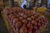 Pekerja mengemas telur di Desa Muktisari, Kabupaten Ciamis, Jawa Barat, Selasa (3/4). Berdasarkan data Kementerian Pertanian (Kementan), produksi telur Indonesia mencapai 7.524 ton per hari dengan kebutuhan di level 7.393 ton per hari. ANTARA JABAR/Adeng Bustomi/agr/18
