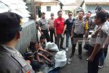 Lima orang tersangka pencurian gula pasir tertunduk lesu saat aksinya diketahui dan ditangkap polisi di sebuah garasi truk yang berada di Jalan Otista Kabupaten Jember, Jawa Timur, Selasa (24/4) sore. Polres Jember menangkap lima orang yang diduga menjadi sindikat pencuri gula saat menjalankan aksinya mengurangi gula dalam kemasan karung di sebuah garasi truk. Antarajatim/Zumrotun Solichah/zk/18