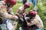 Relawan yang tergabung dalam tim gabungan melakukan evakuasi korban bencana gempa saat simulasi gempa bumi di kawasan Tebing Keraton, Ciburial, Kabupaten Bandung, Jawa Barat, Kamis (26/4). Simulasi yang digelar oleh Badan Penanggulangan Bencana Daerah (BPBD) Provinsi Jawa Barat tersebut dalam rangka memperingati Hari Kesiapsiagaan Bencana di Provinsi Jawa Barat. ANTARA JABAR/M Agung Rajasa/agr/18
