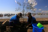 Nelayan menanam pohon cemara di Pantai Satelit, Muncar, Banyuwangi, Jawa Timur, Minggu (29/4). Penanaman itu dilakukan untuk rehabilitasi lahan dan konservasi tanah pantai berpasir, yang berfungsi sebagai penahan angin dan uap air laut yang mengandung garam sehingga mampu mendorong perbaikan lingkungan. Antara Jatim/Budi Candra Setya/zk/18.