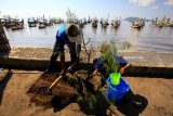 Nelayan menanam pohon cemara di Pantai Satelit, Muncar, Banyuwangi, Jawa Timur, Minggu (29/4). Penanaman itu dilakukan untuk rehabilitasi lahan dan konservasi tanah pantai berpasir, yang berfungsi sebagai penahan angin dan uap air laut yang mengandung garam sehingga mampu mendorong perbaikan lingkungan. Antara Jatim/Budi Candra Setya/zk/18.