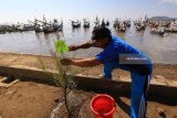 Nelayan menanam pohon cemara di Pantai Satelit, Muncar, Banyuwangi, Jawa Timur, Minggu (29/4). Penanaman itu dilakukan untuk rehabilitasi lahan dan konservasi tanah pantai berpasir, yang berfungsi sebagai penahan angin dan uap air laut yang mengandung garam sehingga mampu mendorong perbaikan lingkungan. Antara Jatim/Budi Candra Setya/zk/18.