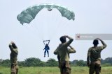 Siswa pendidikan intai amfibi (Diktaifib) angkatan ke-44 sekolah khusus (Sesus) Marinir berhasil mendarat di Apron Shelter Skuadron Udara 400 Lanudal Juanda Surabaya di Sidoarjo, Jawa Timur, Selasa (24/4). Kursus terjun bebas atau Acelerated Free Fall (AFF) dari ketinggian 10.000 kaki diikuti sekitar 34 siswa Diktaifib selama satu bulan, melengkapi kemampuan tempur sebagai sarana infiltrasi melalui media udara. Antara Jatim/M Risyal Hidayat/zk/18