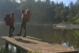 Pengunjung menikmati suasana pagi di kawasan wisata danau Ranu Regulo, Lumajang, Jawa Timur, Sabtu (21/4). Danau yang berada di ketinggian 2100 diatas permukaan laut (dpl) tersebut merupakan salah satu tempat favorit para pendaki untuk beristirahat sebelum melanjutkan perjalanan ke puncak Gunung Semeru. Antara Jatim/Ari Bowo Sucipto/zk/18.