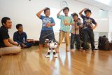 Murid-murid Sekolah Indonesia Kuala Lumpur (SIKL) menirukan gerakan robot disela-sela belajar robotik dari Tim Asian Robotic Competition Comittee (ARCC) Jakarta disela-kunjungannya ke Kuala Lumpur, Sabtu (14/4). Kegiatan tersebut bertujuan mengenalkan sains dan robotik sebagai kegiatan alternatif ekstra sekolah. (ANTARA FOTO/Agus Setiawan)
