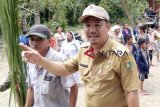 Kegiatan positif generasi muda perlu didukung, kata Bupati Barsel