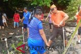 Manengkel-Chaetodon edukasi masyarakat Likupang Barat lestarikan mangrove