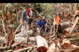 ersangka pelaku illegal logging (tengah) dikawal aparat Polres Aceh Singkil menunjukkan lokasi penebangan kayu dalam kawasan hutan lindung wilayah Soraya di Desa Pasir Belo, Sultan Daulat, Kota Subulussalam, Aceh, (17/4). Dalam operasi tangkap tangan (OTT) aparat kepolisian Satreskrim Aceh Singkil menyita 129 potong kayu jenis meranti dan rimba campuran yang diduga akan diselundupkan ke wilayah Sumatera Utara. ANTARA FOTO/Istafan/Irp/pd/18.