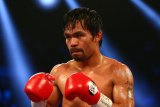 Sebelum mundur Pacquiao masih akan bertarung