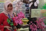 Fidia olah sampah plastik menjadi pohon sakura