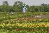 Wisatawan menikmati taman yang berada di kawasan Danau Taihu, Suzhou, Tiongkok, Rabu (9/5). Danau Taihu merupakan danau terbesar ketiga di Tiongkok dan menjadi salah satu tempat wisata di Suzhou.  Antara Jatim/Zabur Karuru/18