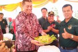 Nikmatnya gulai kapalo lauak hadir di Festival Gandoriah