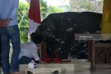 Presiden RI ke-5 yang juga ketua umum Partai Demokrasi Indonesia Perjuangan (PDIP) Megawati Soekarnoputri memanjatkan do'a didekat pusara makam saat berziarah di Makam Presiden Pertama RI Soekarno di Blitar,Jawa Timur, Kamis (10/5). Ziarah dalam rangka memanjatkan do'a jelang bulan suci ramadhan tersebut juga diikuti oleh sejumlah elite partai.Antara Jatim/Irfan Anshori/mas/18