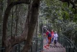 Warga menikmati suasana hutan kota di Forest Walk Babakan Siliwangi, Bandung, Jawa Barat, Selasa (22/5). Forest walk sepanjang dua kilometer yang merupakan salah satu forest walk terpanjang di Asean tersebut menjadi salah satu alternatif bagi warga maupun wisatawan untuk ngabuburit di Kota Bandung. ANTARA JABAR/Raisan Al Farisi/agr/18