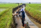 Warga bergotong royong membangun saluran irigasi untuk mengairi lahan pesawahan di Desa Tanjungsari, Kabupaten Tasikmalaya, Jawa Barat, Sabtu (12/5). PT Pupuk Indonesia mendorong program Padat Karya Tunai (PKT) yang disalurkan khususnya pada perbaikan dan pembangunan sarana dan prasarana pendukung pertanian serta pendayagunaan sumber daya alam berbasis pemberdayaan masyarakat di pedesaan, sebagai bentuk nyata untuk mewujudkan ketahanan pangan nasional, dengan melibatkan 400 warga dari empat dusun. ANTARA JABAR/Adeng Bustomi/agr/18