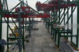 Suasana aktivitas bongkar muat peti kemas di Dermaga Terminal Laut Teluk Lamong, Tanjung Perak, Surabaya, Jawa Timur, Selasa (8/5). PT Pelabuhan Indonesia (Pelindo) III berencana menambah luas lapangan penumpukan peti kemas atau container yard dari eksisting 10 blok dengan kapasitas 1 juta TEUs menjadi 15 blok dengan kapasitas mencapai 1,5 juta TEUs. Antara Jatim/Umarul Faruq/zk/18