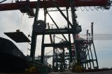 Suasana aktivitas bongkar muat peti kemas di Dermaga Terminal Laut Teluk Lamong, Tanjung Perak, Surabaya, Jawa Timur, Selasa (8/5). PT Pelabuhan Indonesia (Pelindo) III berencana menambah luas lapangan penumpukan peti kemas atau container yard dari eksisting 10 blok dengan kapasitas 1 juta TEUs menjadi 15 blok dengan kapasitas mencapai 1,5 juta TEUs. Antara Jatim/Umarul Faruq/zk/18