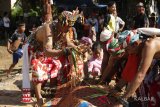 Para Balian (dukun) membaca mantra di atas kurban kerbau yang sudah dipotong dan akan dipersembahkan untuk para arwah leluhur pada prosesi Ritual Adat Balian Bawo di halaman rumah warga di Barong Tongkok, Kabupaten Kutai Barat, Kalimantan Timur, Selasa (22/5). Ritual adat Balian Bawo tersebut bertujuan untuk menyembuhkan penyakit seseorang, menolak bala penyakit dan membayar nazar. ANTARA FOTO/Sugeng Hendratno/jhw/18